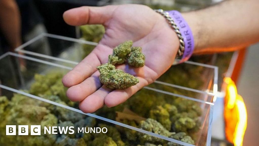 Trump firma una orden ejecutiva que reclasifica la marihuana y amplía su acceso al considerarla menos peligrosa.