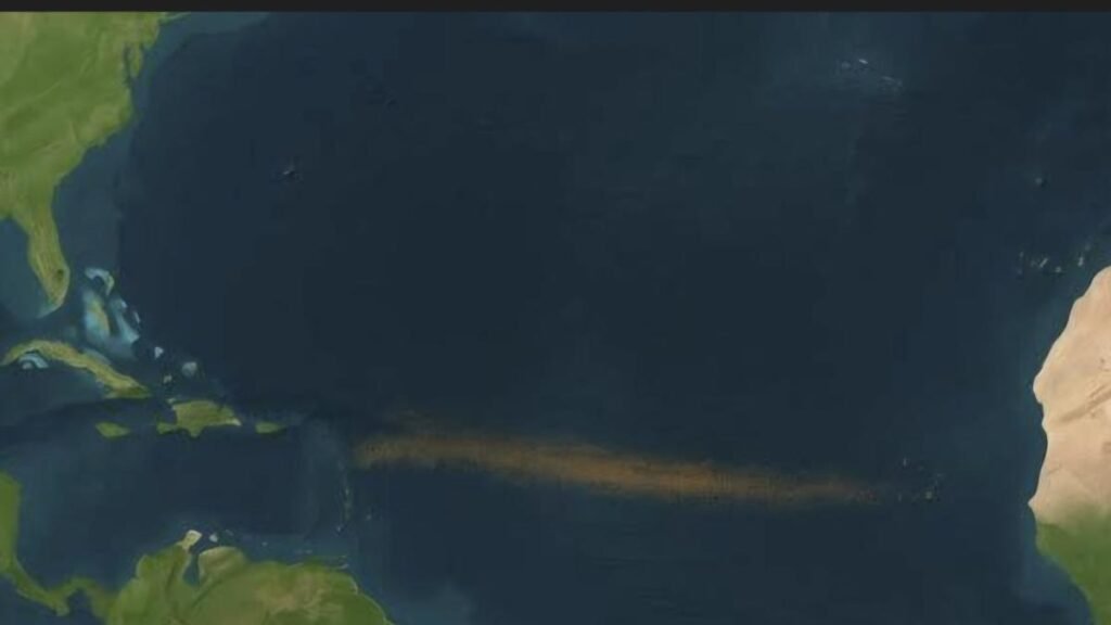 Alertan sobre una inusual ola de sargazo en las playas de México