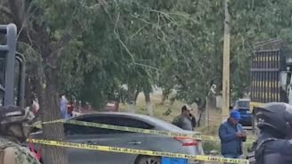 Ejecutan a tres compradores de naranjas en Álamo, Veracruz.