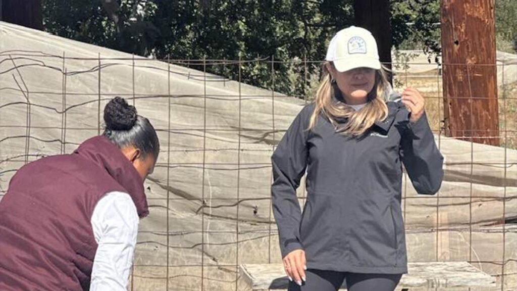 Exdirectora del INVI en BCS enfrenta proceso judicial por presunto desfalco