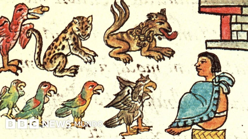 El zoológico de Moctezuma: un fascinante legado que impactó a los españoles hace 500 años y que hoy descubrimos