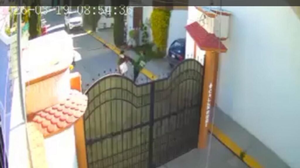 Sujeto agredió violentamente a un joven con autismo debido al ladrido de sus perros