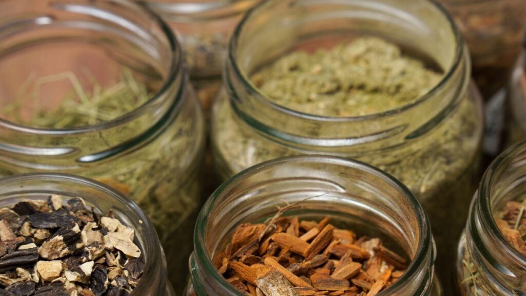 Plantas medicinales para mejorar la circulación: ¿cuáles son y son confiables?